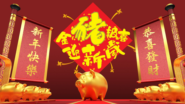 2019 金猪报喜迎新岁
