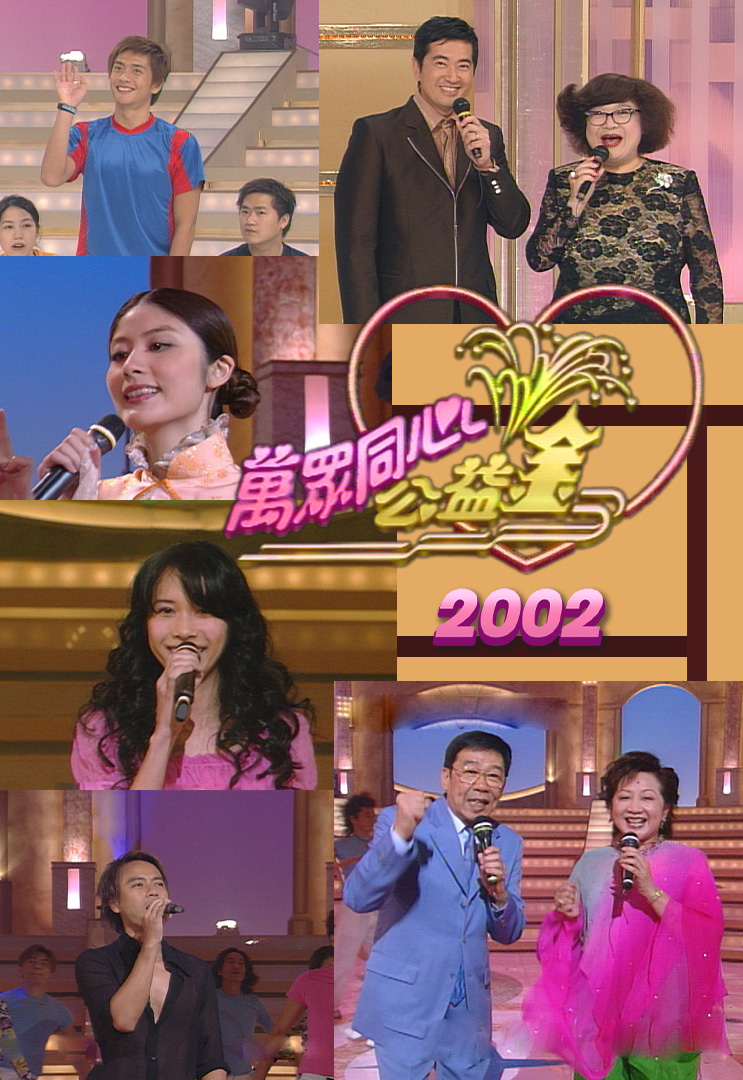 万众同心公益金 2002
