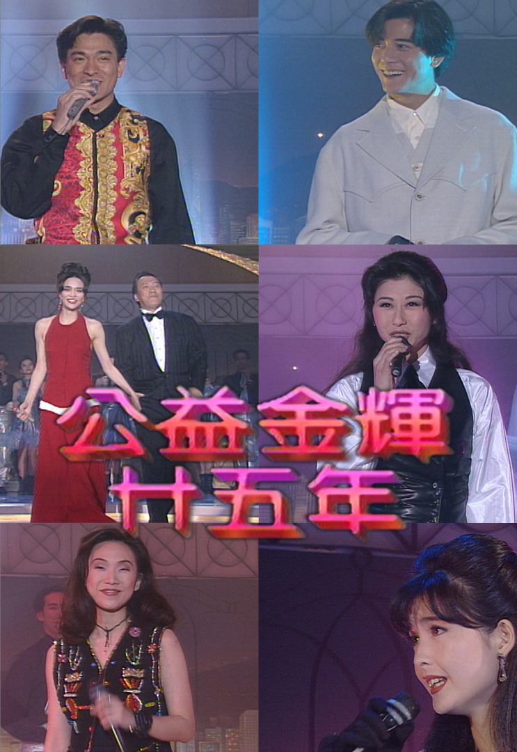 1993 公益金辉廿五年