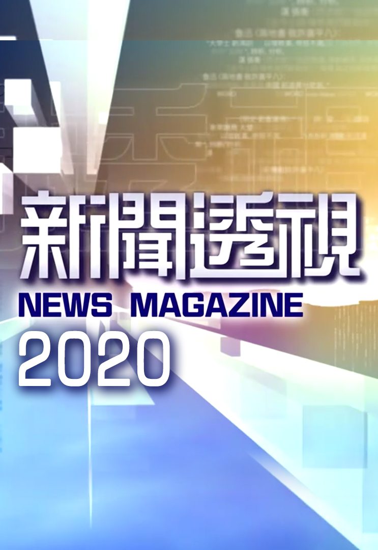 新闻透视 (2020)