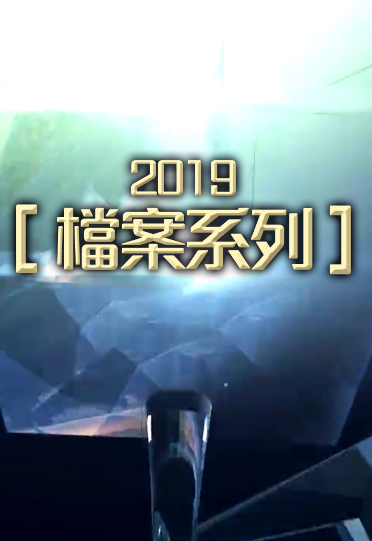 档案系列 (2019)