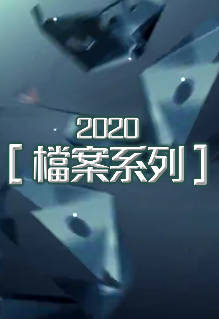 档案系列 (2020)