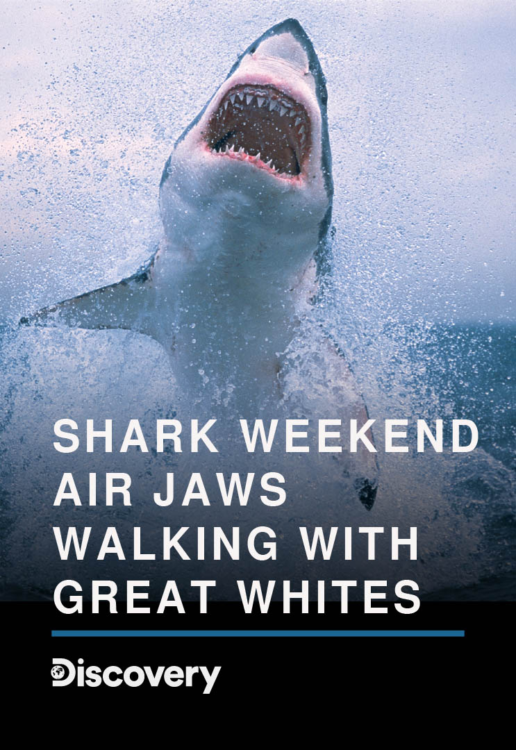 Shark Weekend Air Jaws Walking With Great Whites myTV SUPER