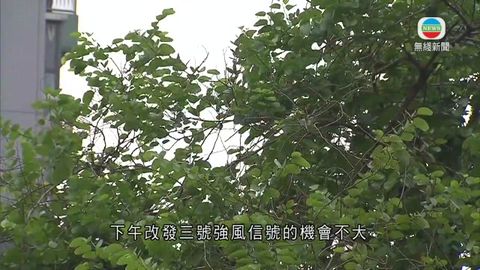 图片_ceabffa1