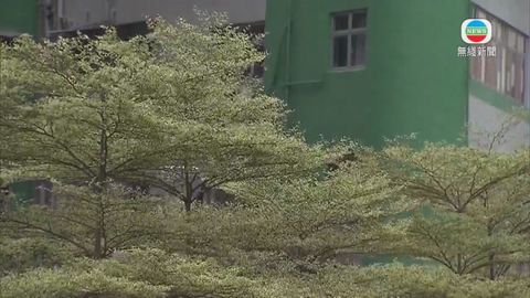 图片_13806275