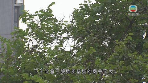 图片_73ec80ca