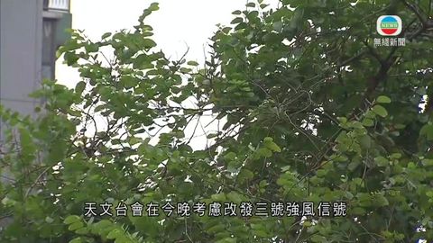 图片_b7ac56a3