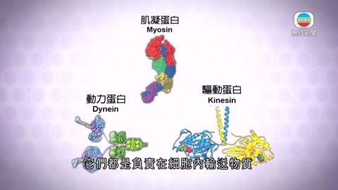 图片_50cf7218