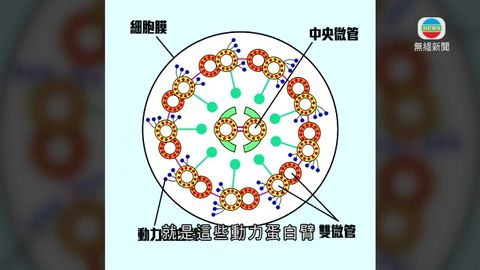 图片_54d40e91