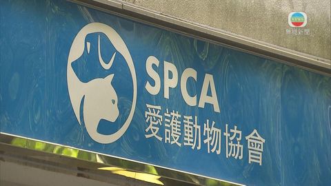 據傳本港爆狗隻病毒性腸炎 愛護動物協會澄清個案未明顯增加