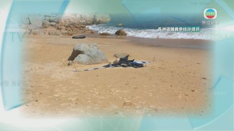長洲東灣泳灘發現豬屍 警方封鎖現場調查