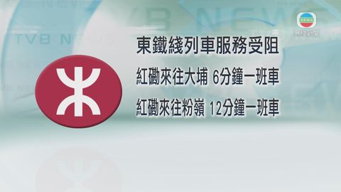 上水站有人進入路軌範圍 粉嶺至羅湖及落馬洲站服務暫停