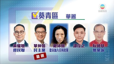 民主黨：單仲偕葵青華麗區勝出
