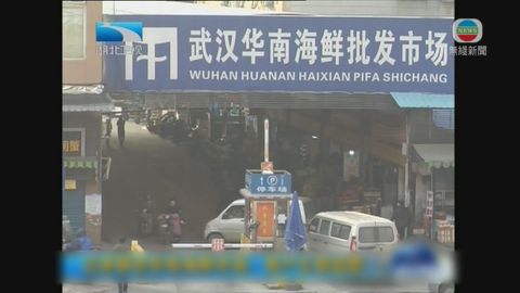 傳染病專家指武漢肺炎病例疑屬新發性傳染病 類似禽流感或沙士