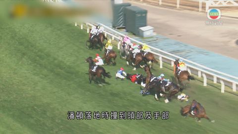 图片_495e7038