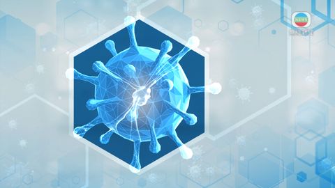 政府凌晨起暫停「回港易」及「來港易」從珠海經港珠澳大橋入境免檢疫安排