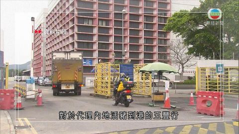 五豐行今早與食環署及業界開會後指上水屠房明天可恢復正常運作