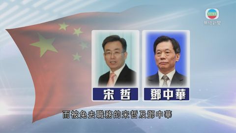 國務院任命王靈桂為港澳辦副主任 免去宋哲及鄧中華港澳辦副主任職務