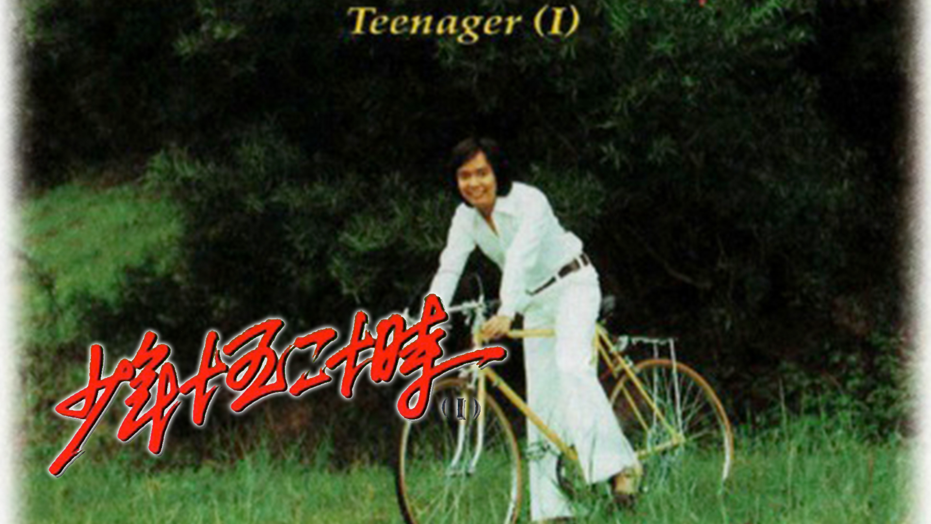 少年十五二十时