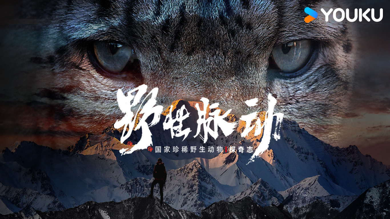 野性脈動國家珍稀野生動物探奇志繁體版- myTV SUPER線上看